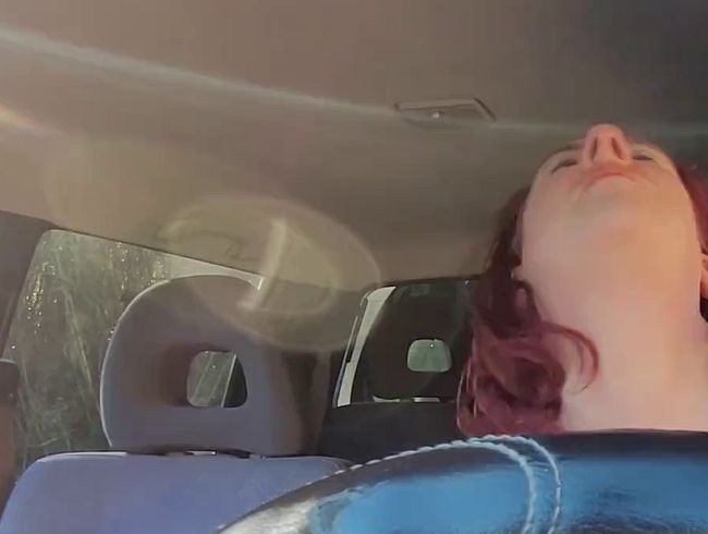 Download: Nikki-Holland - Ein weiterer Tag mit Pedalpumpen