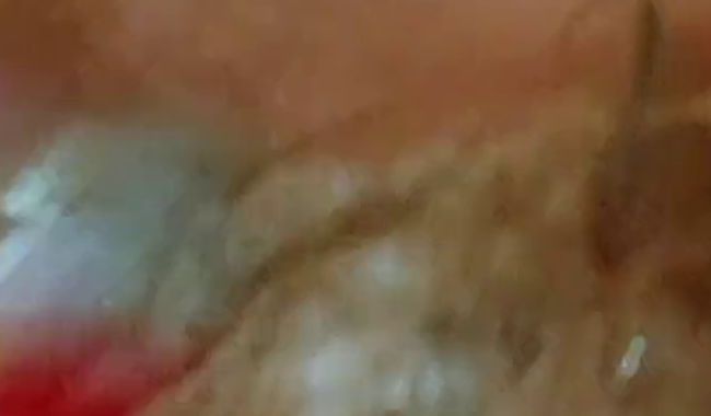 Download: NikkiLexx - Haarige Muschi waschen