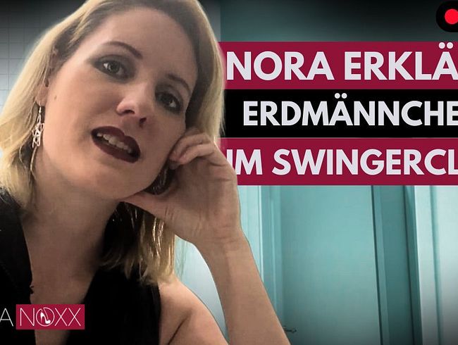 Download: NoraNoxx - Single Männer im Swinger Club – Sei kein Erdmännchen!