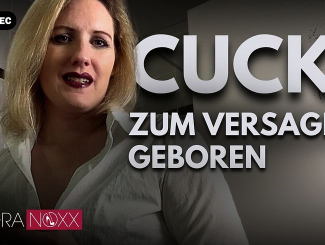 Download: NoraNoxx - Du Cucki-Loser wirst NIEMALS eine Frau wie mich haben!