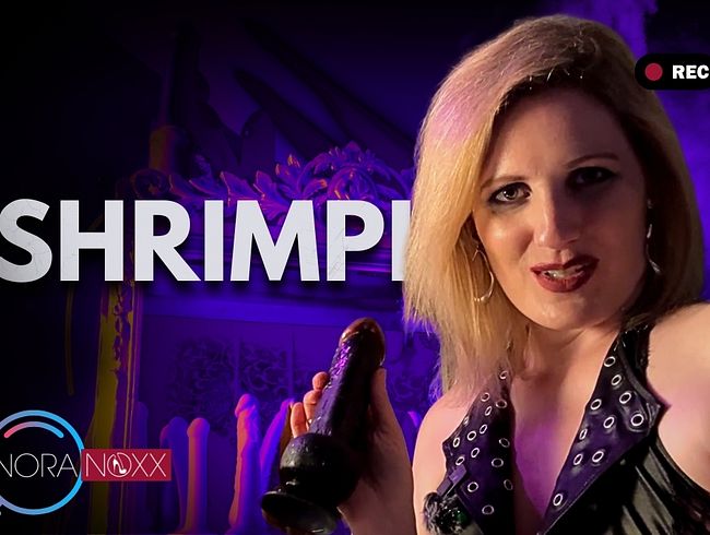 Download: NoraNoxx - Du hast keinen Schwanz sondern einen Mini-Shrimp!