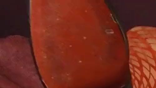 Download: Nylon-Terry - Geil gewixt und gefingert