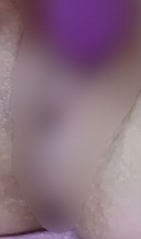 Download: Oktopussy100 - Lila Schlange