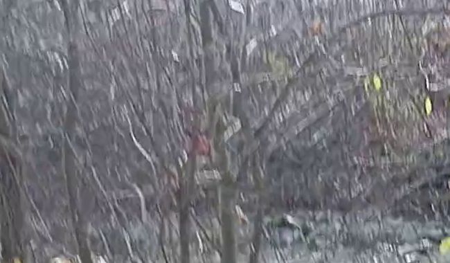 Download: Onkeltom1985 - Auf den Wanderweg gespritzt....