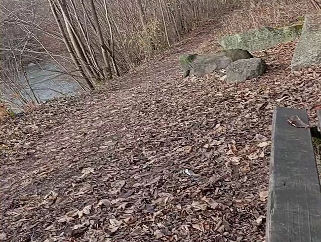 Download: Onkeltom1985 - Auf den Wanderweg gespritzt....