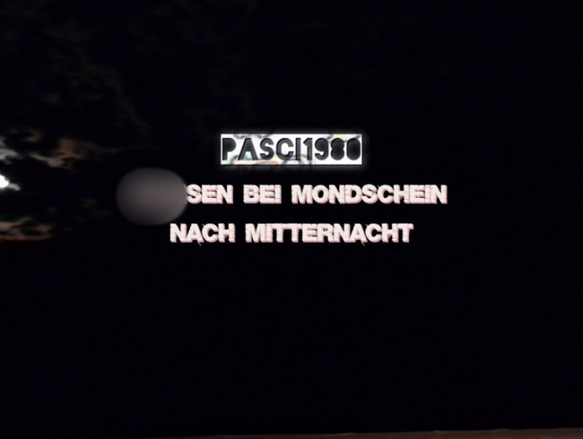 Download: Pasci1980 - Wichsen bei Mondschein nach Mitternacht