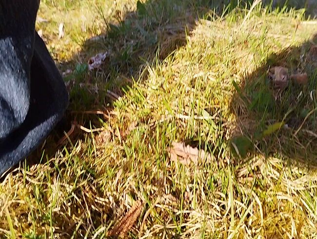 Download: Peelover667 - In freier Natur meinem geilen Bedürfnis nachgegeben