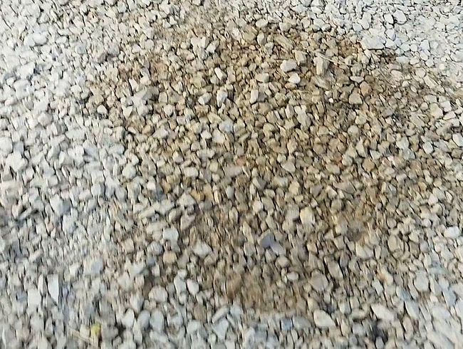 Download: Peelover667 - Morgendliche Entleerung on Tour