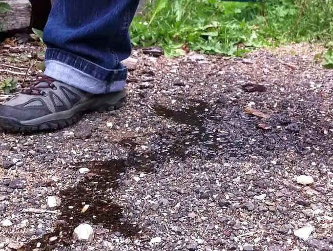 Download: Peelover667 - PiPi mit Bach