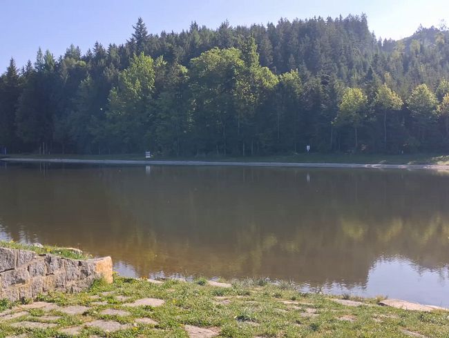 Download: Petra1992 - Öffentlicher Blowjob am Badesee
