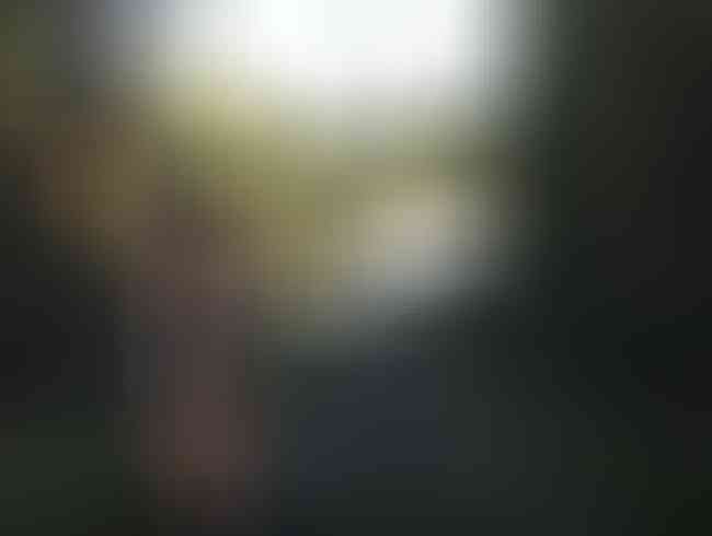 Download: Popp-Sylvie - Harter Fick an der Bundesstrasse