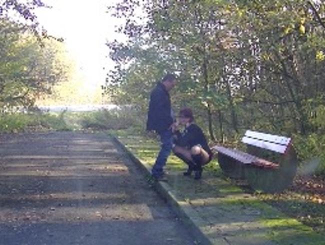 Download: Popp-Sylvie - Maulbesamung am Parkplatz