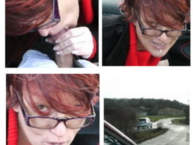 Download: Popp-Sylvie - Samenschlucken am Parkplatz