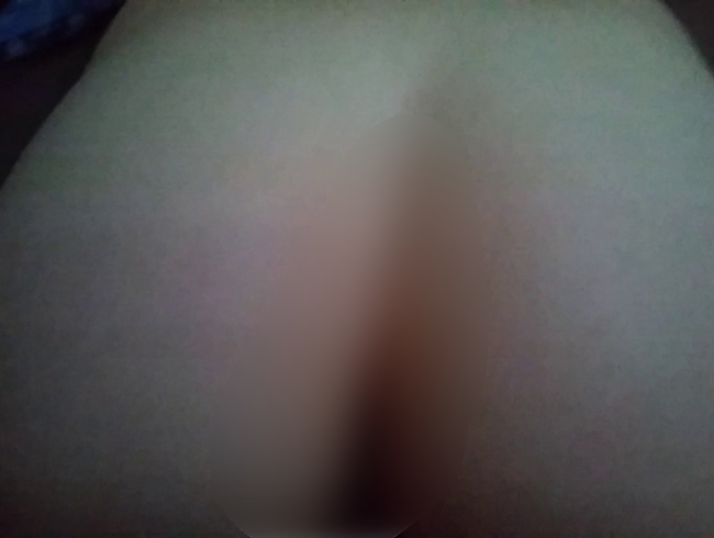 Download: Priselvis - Ein schneller fick am Morgen vertreibt Kummer und sorgen