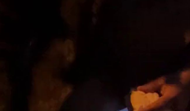 Download: Pummelfee-Sara - Guten Morgen