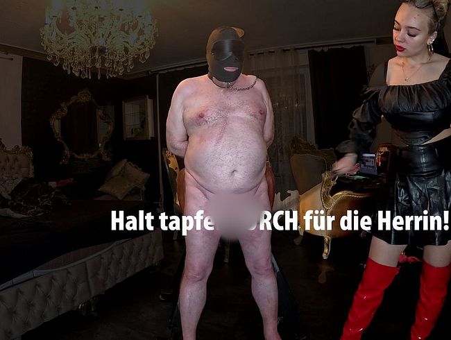 Download: Queen_Of_Bdsm_vipDom - HARDCORE CBT! Wie viel Schläge halten deine Eier und dein Schwanz durch?