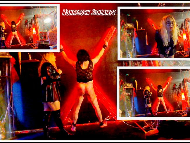 Download: Queen_of_Bdsm_vipDom - Sissy-Schlampe wird bestraft!