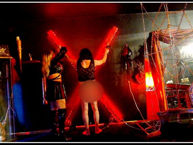 Download: Queen_of_Bdsm_vipDom - Sissy-Schlampe wird bestraft!
