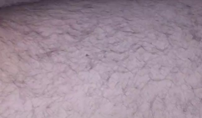 Download: Readheardwife - ?????ein überraschender ? blowjob? ????