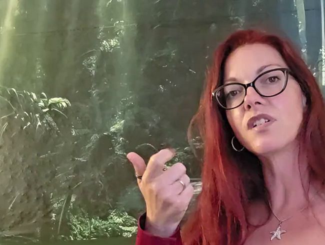 Download: Red-Jayde - Du darfst für mich absahnen...