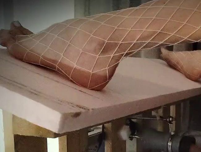 Download: RedcatPornotunes - Meine beste Freundin, die Sexmaschine – Red Cats‘ CUM MACHINE