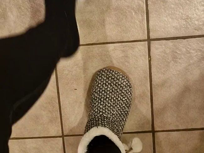 Download: Reiterin69 - Kleinen Fuß gruß