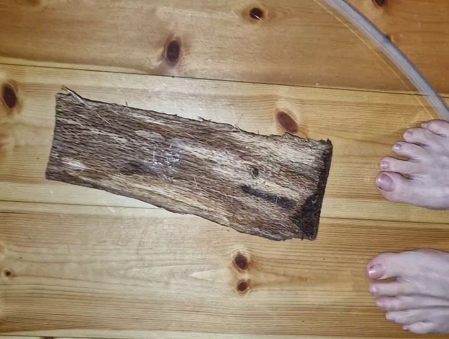 Download: Reiterin69 - Mit meinen Füßen Holz zertrampeln