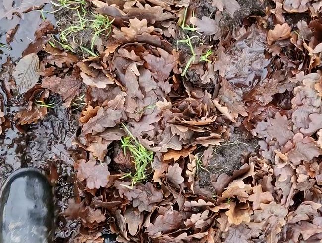 Download: Reiterin69 - Mit Gummistiefeln durch Matsch