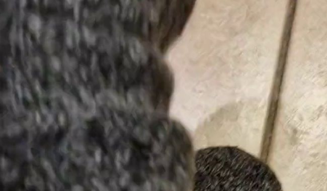 Download: Reiterin69 - Gestrickte Socken sind die besten