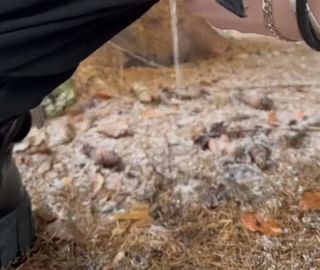 Download: Roana_Red - Wenn die Blase unterwegs voll ist..