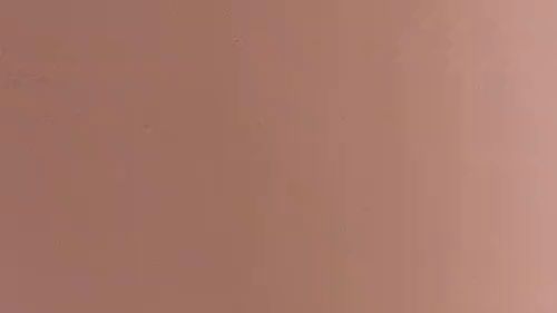 Download: Roxy-beeee - Analplug, Dildo und Vibrator bringen mich dazu mehrmals zu kommen ?