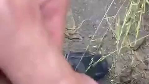 Download: Ruby-Sunday - Wenn bei Sunny auf dem Weg zu Ruby der Druck zu groß wird ...