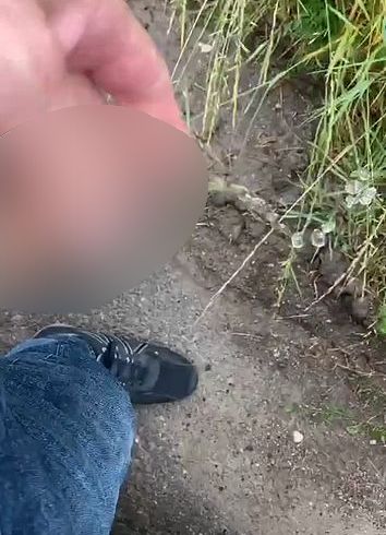 Download: Ruby-Sunday - Wenn bei Sunny auf dem Weg zu Ruby der Druck zu groß wird ...