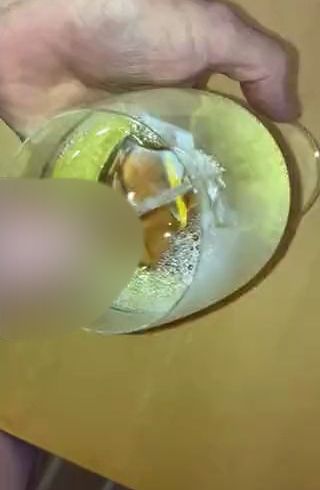 Download: Ruby-Sunday - Natursekt im Weinglas serviert