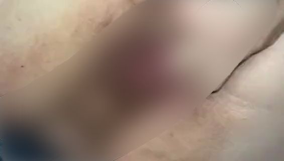 Download: Ruby-Sunday - Vor der Webcam Doggy zum Auslaufen gebracht