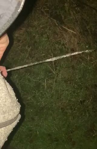 Download: Ruby-Sunday - Mit Druck auf die Wiese gepisst