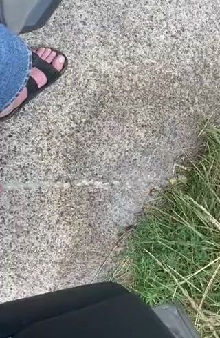 Download: Ruby-Sunday - Ich liebe es wenn Sunny für mich pisst (87)