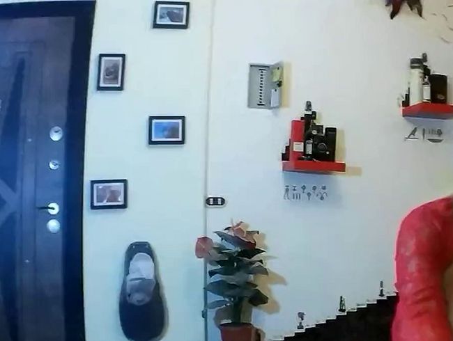 Download: SEX4ALL - Wichs mein kleines Schweinchen