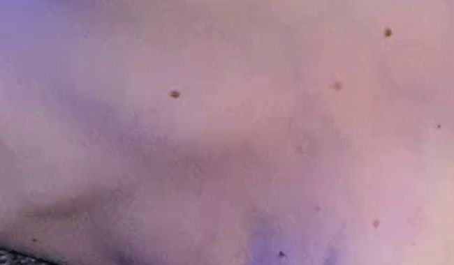 Download: SIE_von_Landpaar - Lieblingsschwanz