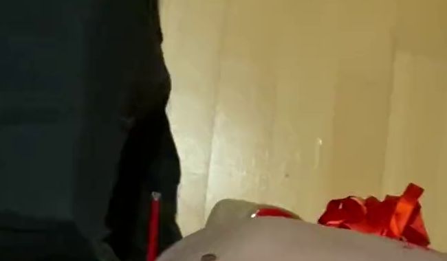 Download: SIE_von_Landpaar - Blowjob Day für Daddy