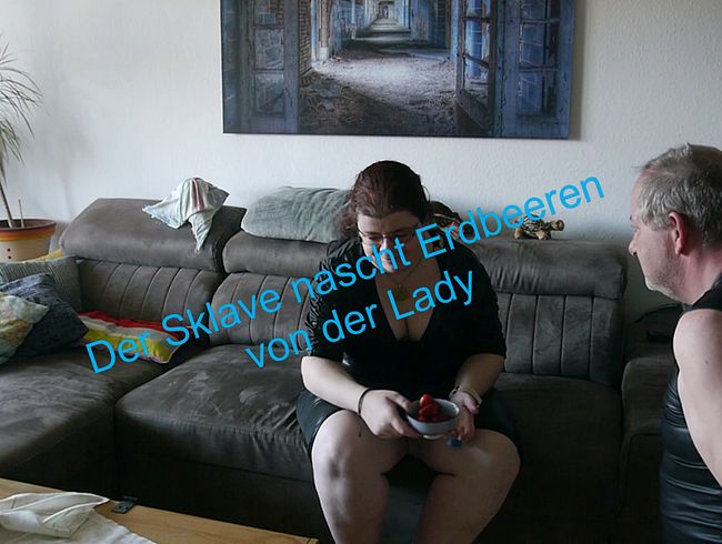Download: SexyDomSanne - Sklave nascht Erdbeeren von der Lady