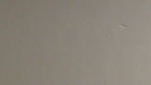 Download: SexyJenJen - Erstes mal einen User Angepisst