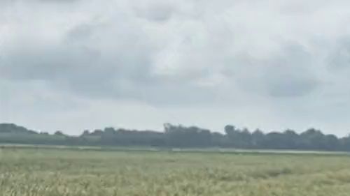 Download: SexyJenJen - Outdoor pinkeln