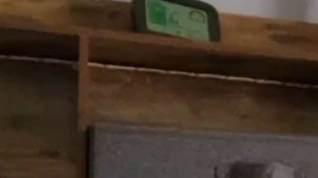 Download: SexyTattoos89 - Schau das kleine Schwarze vibriert so schön in mir.