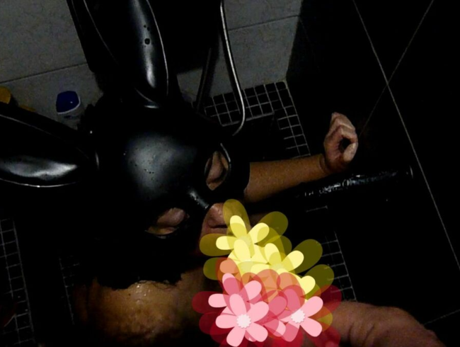 Download: SlutMom109 - Toilettentraining für meine Frau! Menschliche Toilette und Sperma im Gesicht, Hasenmaske