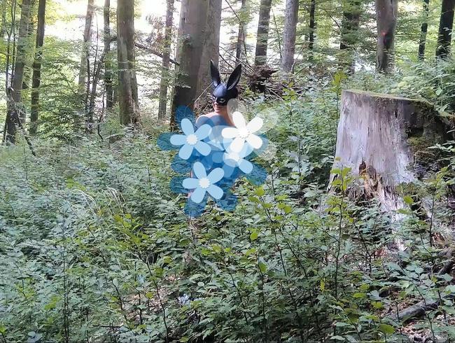 Download: SlutMom109 - Das BESTE, was eine gute Hure bekommen kann: Sperma und Pisse auf einmal, um daraus einen schönen CO