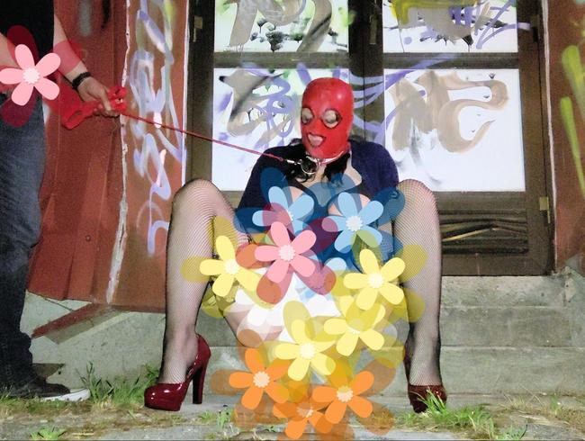 Download: SlutMom109 - Reife dumme Hure an der Leine im Freien gedemütigt