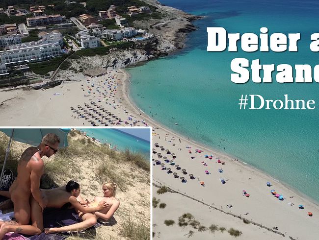 Download: SnakeDave - Sex direkt am Strand