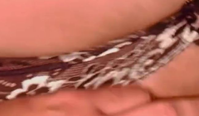 Download: Snow_Bunny_ - Doggy gefickt