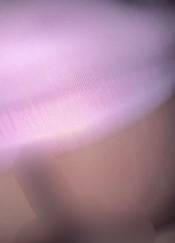 Download: Snow_Bunny_ - Morgen Ständer lutschen